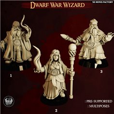 Dwarf War Wizard des The Master Forge créé par The Master Forge de 3D Minis Factory 2