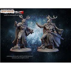 Wood Elf Warlock Male des Sylvains créé par Ghamak de 3D Minis Factory 2